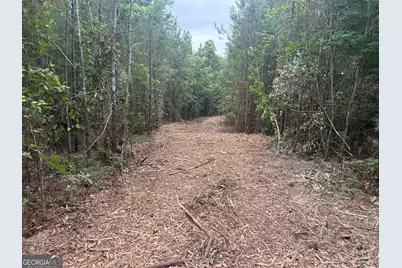 L9 N Indian Trail Road, Sandersville, GA 31082 - Photo 18