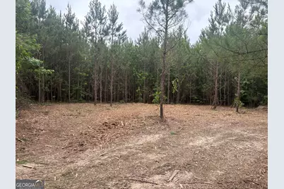 L9 N Indian Trail Road, Sandersville, GA 31082 - Photo 12