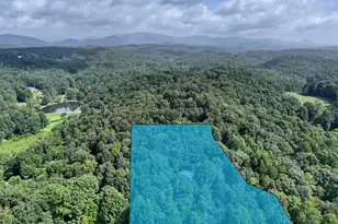 45 K D Ln, Ellijay, GA 30540 - Photo 48