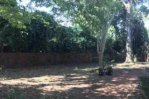 131 Pineview Dr, Athens, GA 30605 - Photo 14