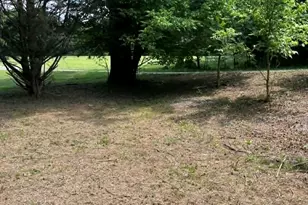 10667 Hwy 411, Chatsworth, GA 30705 - Photo 36