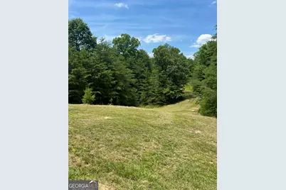 10667 Highway 411, Chatsworth, GA 30705 - Photo 32