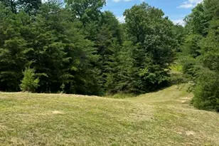 10667 Hwy 411, Chatsworth, GA 30705 - Photo 32