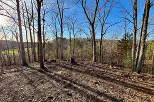 10667 Hwy 411, Chatsworth, GA 30705 - Photo 44
