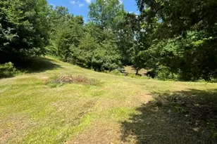 10667 Hwy 411, Chatsworth, GA 30705 - Photo 38