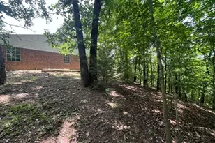 10667 Hwy 411, Chatsworth, GA 30705 - Photo 28