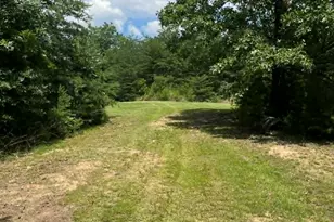 10667 Hwy 411, Chatsworth, GA 30705 - Photo 30