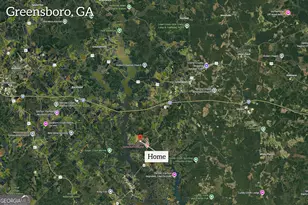 1010 Southern Pne Rd, Greensboro, GA 30642 - Photo 66