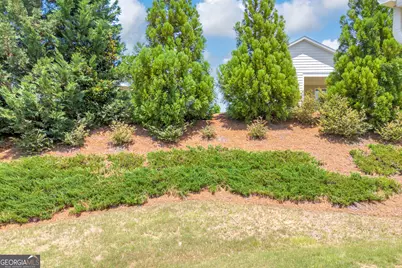 1010 Southern Pine Road, Greensboro, GA 30642 - Photo 44
