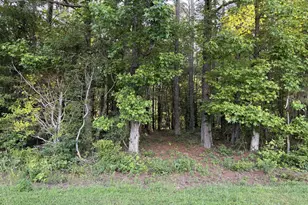 0 Wildcat Rd, Buchanan, GA 30113 - Photo 1