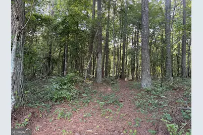 0 Wildcat Road, Buchanan, GA 30113 - Photo 4
