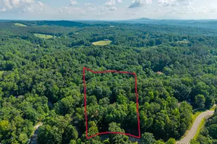 266 Wildcat Creek Rd, Ellijay, GA 30540 - Photo 34