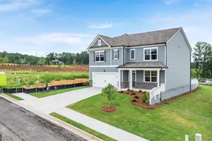 33 Cyrilla Walk, Dallas, GA 30132 - Photo 2