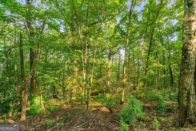 0 Mount Alto Road SW, Rome, GA 30165 - Photo 4
