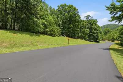 171 &amp; 172 Laceola North Road, Cleveland, GA 30528 - Photo 2