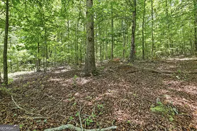 171 &amp; 172 Laceola North Road, Cleveland, GA 30528 - Photo 6