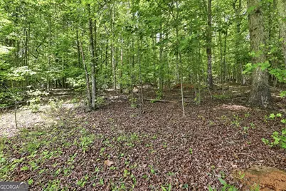 171 Laceola North Road, Cleveland, GA 30528 - Photo 2