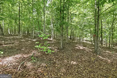 171 Laceola North Road, Cleveland, GA 30528 - Photo 4