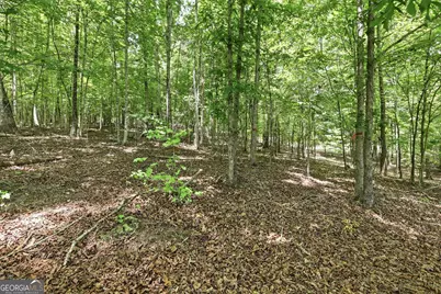 172 Laceola North Road, Cleveland, GA 30528 - Photo 2