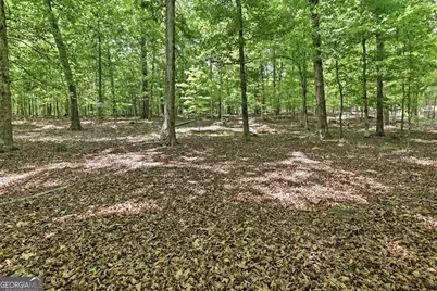 172 Laceola North Road, Cleveland, GA 30528 - Photo 4