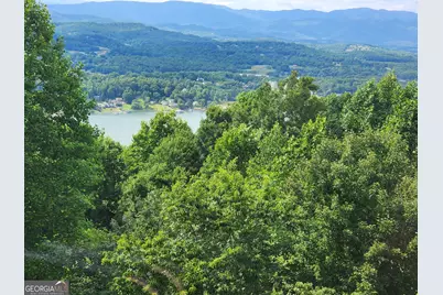 880 Locust Trail, Hiawassee, GA 30546 - Photo 86