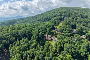 880 Locust Trail, Hiawassee, GA 30546 - Photo 80