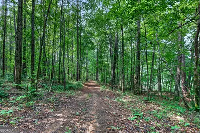 86 Pollen Trail, Grantville, GA 30220 - Photo 50