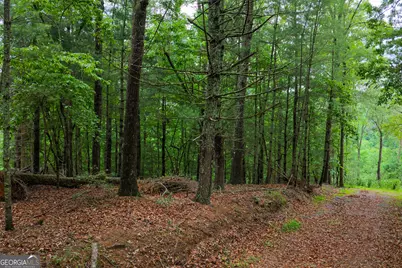 9 Deer Haven Drive, Morganton, GA 30560 - Photo 14