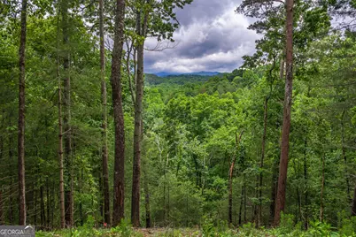 9 Deer Haven Drive, Morganton, GA 30560 - Photo 12