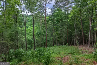 9 Deer Haven Drive, Morganton, GA 30560 - Photo 8