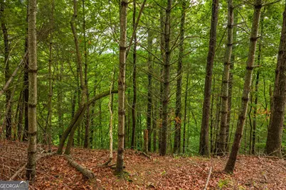 9 Deer Haven Drive, Morganton, GA 30560 - Photo 4