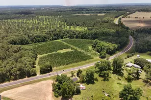 2773 Hwy 33, Boston, GA 31626 - Photo 32