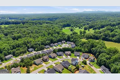 785 Dawn Place, Alto, GA 30510 - Photo 34
