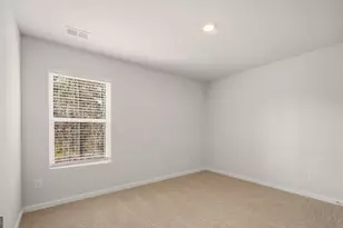 11994 Aukerman Wy, Hampton, GA 30228 - Photo 20