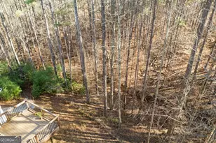 402 Eileen Cir, Canton, GA 30114 - Photo 38