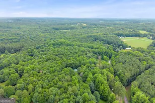 830 Carrie Craft Rd, Bowersville, GA 30516 - Photo 42