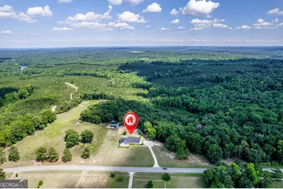 390 Dedrick Road, Mcintyre, GA 31054 - Photo 60