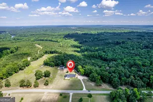 390 Dedrick Rd, Mcintyre, GA 31054 - Photo 60