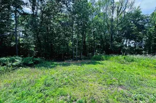 1341 Deer Lake Ct, Greensboro, GA 30642 - Photo 8