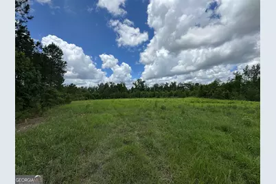 6295 Findley Place, Metter, GA 30439 - Photo 28