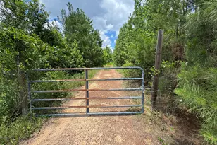 6295 Findley Pl, Metter, GA 30439 - Photo 1