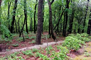 548 Confederate Dr, Clayton, GA 30525 - Photo 48