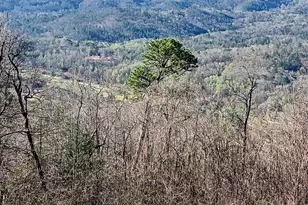 548 Confederate Dr, Clayton, GA 30525 - Photo 4