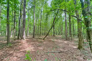 254 Norwood Rd, Hogansville, GA 30230 - Photo 38