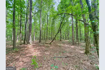254 Norwood Road, Hogansville, GA 30230 - Photo 10
