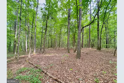 254 Norwood Road, Hogansville, GA 30230 - Photo 8