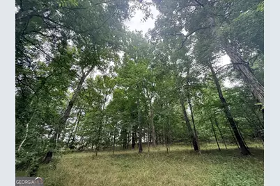 1 Bethesda Church Road, Lexington, GA 30648 - Photo 1