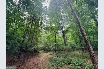 1 Bethesda Church Road, Lexington, GA 30648 - Photo 12