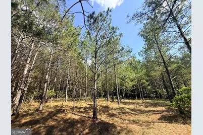 1 Bethesda Church Road, Lexington, GA 30648 - Photo 66