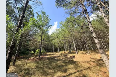 1 Bethesda Church Road, Lexington, GA 30648 - Photo 78